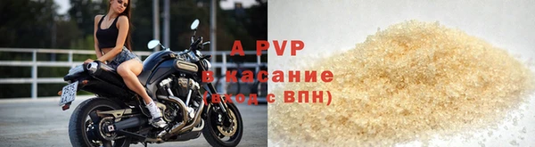 трава Белокуриха