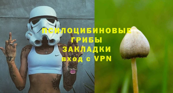 стафф Беломорск